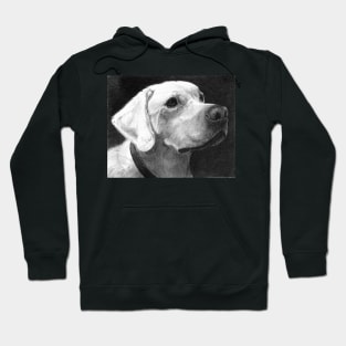 TEDI Hoodie